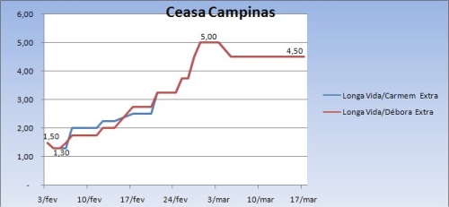 Ceasa Campinas