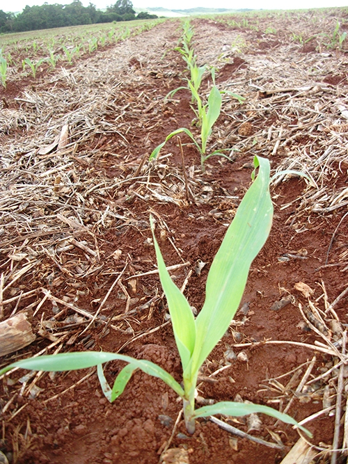 Clique aqui para ampliar!