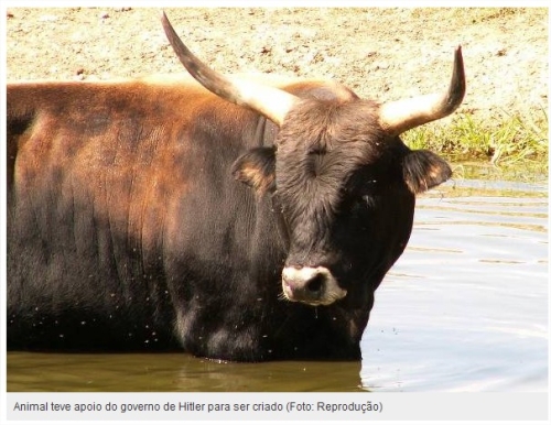 Clique aqui para ampliar!