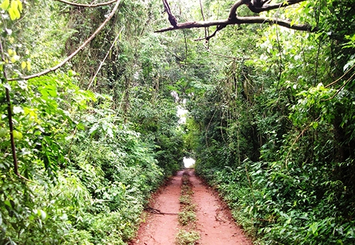 Clique aqui para ampliar!
