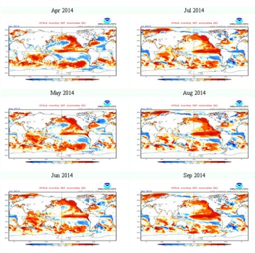 Perspectivas de El Niño - Imagens: NOAA