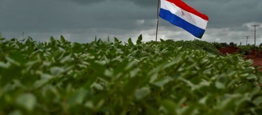 Soja Paraguai
