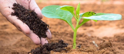 Cresce-o-uso-de-bioinsumos-nas-lavouras-brasileira0309107300202107161552