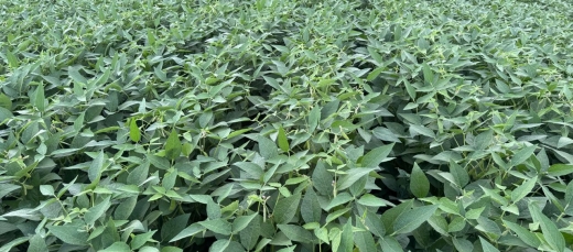 WhatsApp Image 2025-06-25 at 15.42.47