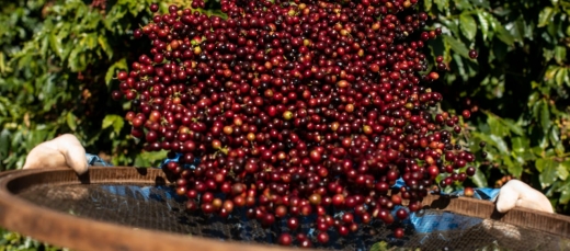 WhatsApp Image 2025-10-02 at 13.01.34