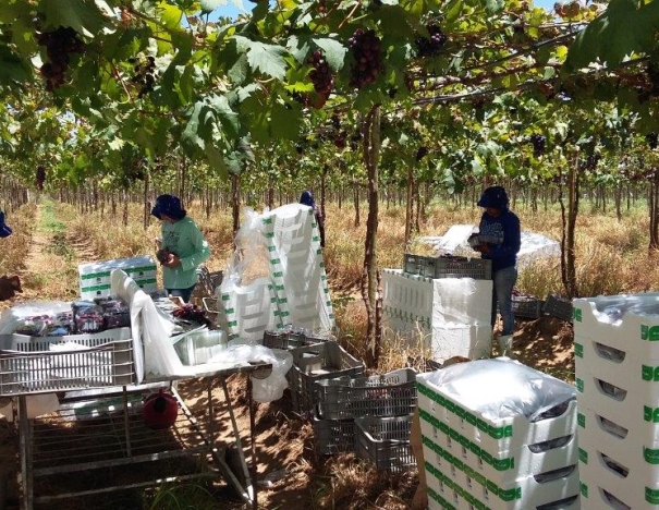 WhatsApp Image 2026-04-02 at 11.02.20 (1)