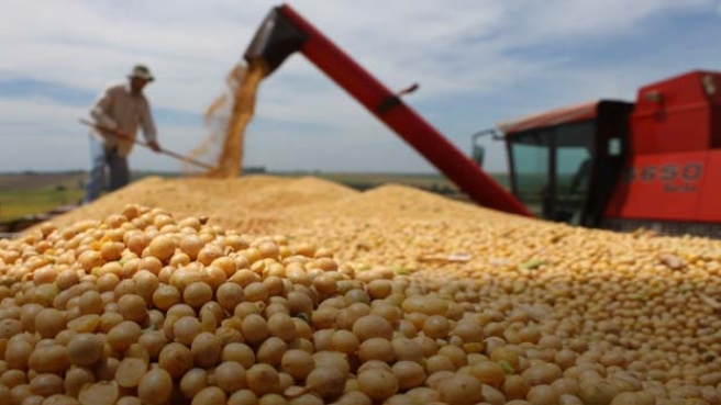 destacao soja - colheita- caminhao - 01