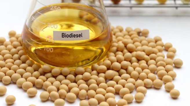biodiesel soja