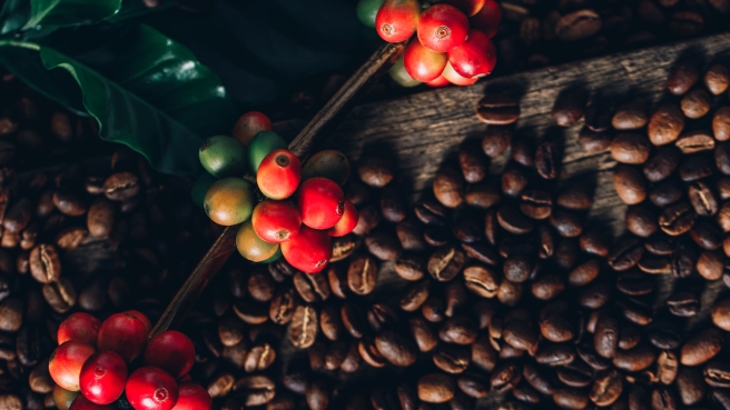 Café - Foto Envato (31)