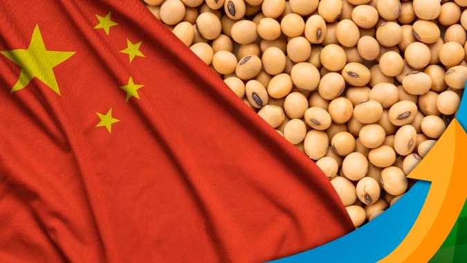 Tendência de menos demanda chinesa por soja pode pesar nos preços em 2024, alerta consultoria