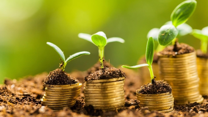 Comissão Especial de Recursos do Proagro julgou 817 processos no primeiro semestre de 2021