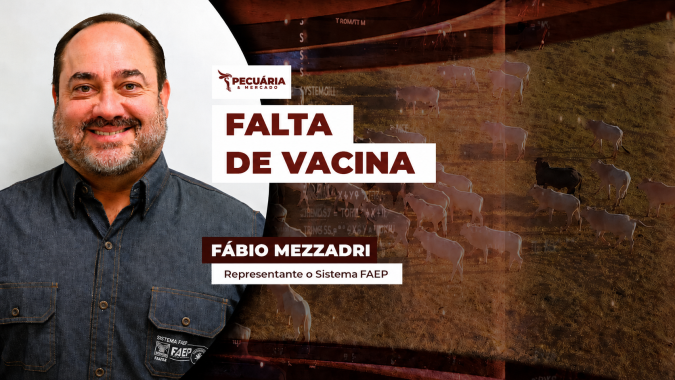 A falta de vacina para clostridioses preocupa pecuaristas no Brasil inteiro