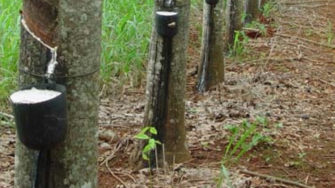 Preço de importação da borracha natural tem queda de 8,26% em abril