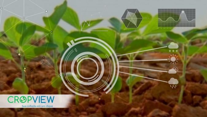Produtores do oeste do Paraná terão condições de iniciar plantio assim que o vazio sanitário encerrar, aponta cropview
