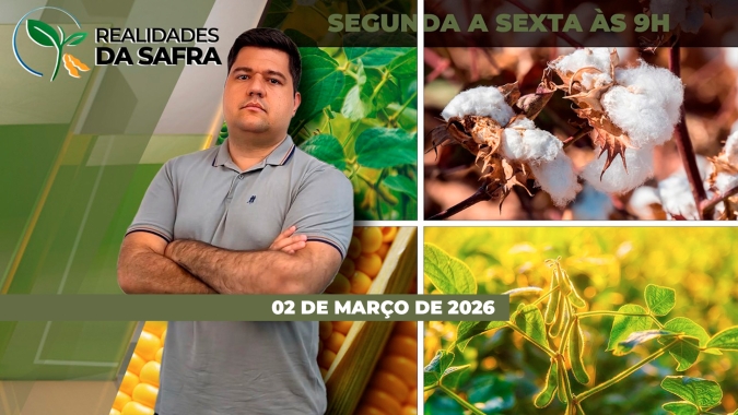 Colheita da soja e plantio do milho na reta final em Cascavel/PR e Amambai/MS