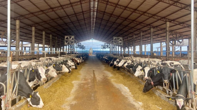 Volume de crédito do BRDE à cadeia do leite do Paraná cresce 84% em 12 meses
