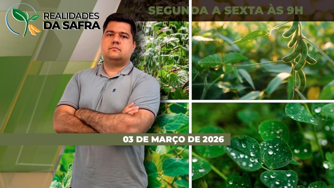 Colheita da soja é a mais atrasada em cinco anos e plantio do milho o mais lento desde 2022