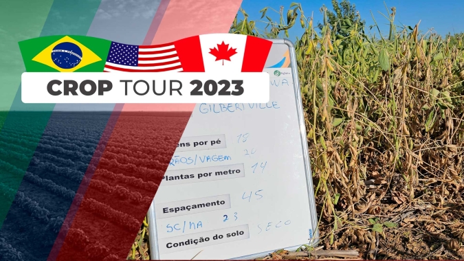 Em Iowa, marca principal da safra 2023/24 é a irregularidade depois dias de muito calor e chuvas insuficientes