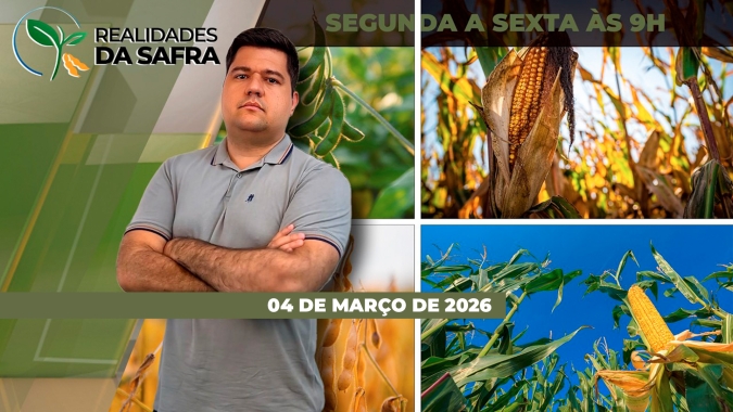 Clima afetou produtividade da soja em Rio Verde/GO e deve aumentar desafios da safra de tomate