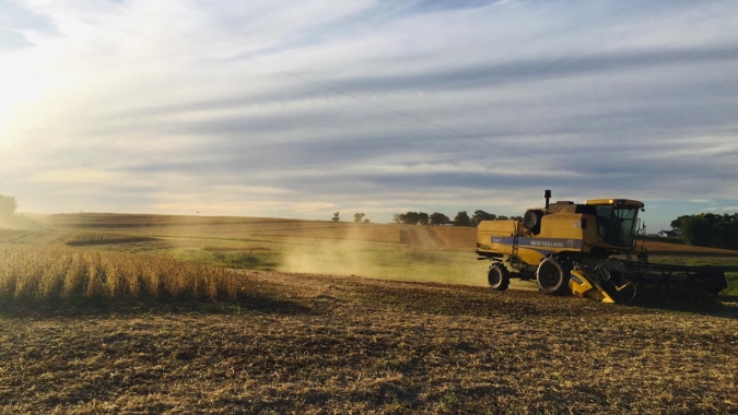 AgRural: Colheita de soja vai a 59% da área no Brasil