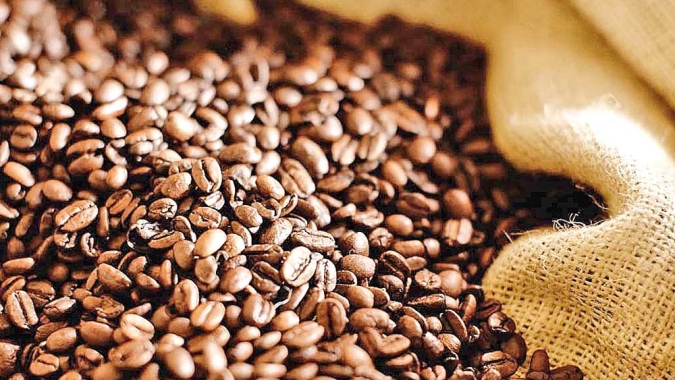 Café tem dia sem grandes movimentações e cotações finalizam próximo da estabilidade tanto em NY como no Brasil