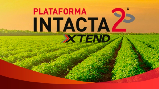 Tecnologia intacta2 Xtend está pronta para ser lançada e os resultados em condições reais de campo começam a ser apurados