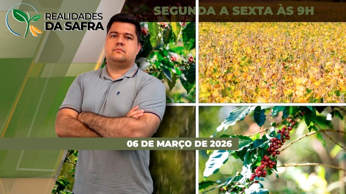 Clima irregular prejudicou desenvolvimento dos cafezais em Varginha/MG e elevaram pressão de percevejos na soja do Rio Grande do Sul