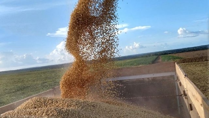 Colheita de soja avança 3% na semana, e atinge 92% da área da safra 2019/20