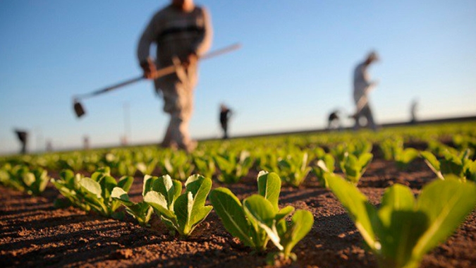 A sucessão familiar e a importância de atrair novos profissionais para o agronegócio