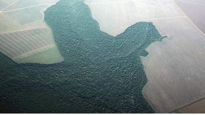 Produtor não é obrigado a vender terra, alerta Sistema FAEP