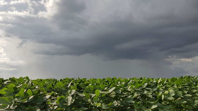 Prognóstico do Inmet destaca condição agroclimática durante o verão para todo o Brasil