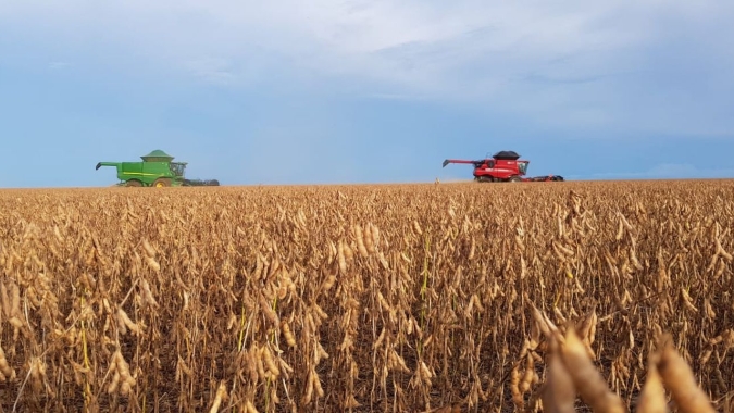 FGV AGRO: Produção agroindustrial cresce 3,8% em maio ante abril e começa a superar retração da pandemia