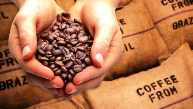 Mercado cafeeiro fecha sessão de 4ª feira (13) registrando alta de mais de 3% nas bolsas internacionais