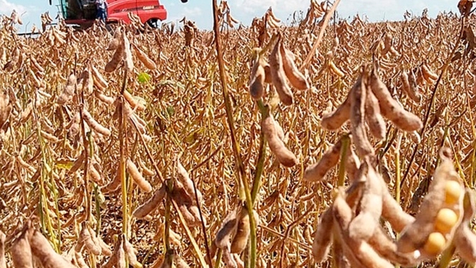 Agronegócio puxa crescimento econômico do Piauí acima da média nacional, mas ainda esbarra em falta de infraestrutura