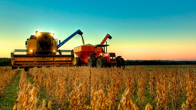 Colheita da soja em Caarapó/MS deve ganhar força nos próximos 10 dias e expectativa é de boa produtividade