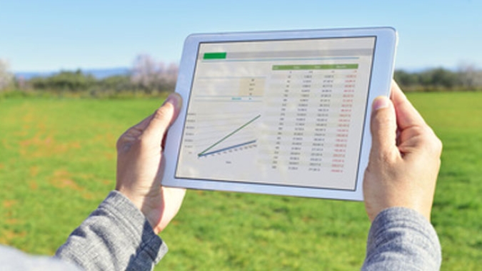 Ferramentas de Business Intelligence aceleram análises de dados no agronegócio