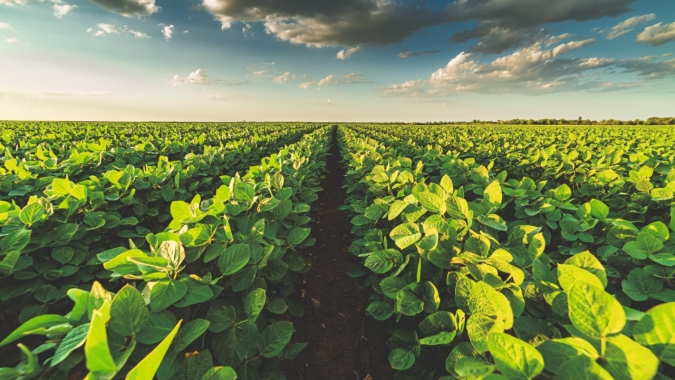 Tecnologia digitais são aliadas na gestão de custos dos insumos agrícolas
