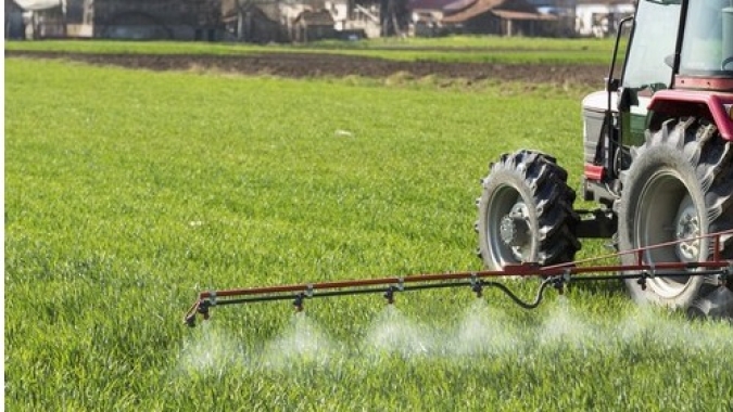 Fertilização com boro ajuda na produtividade, mas origem do nutriente pode fazer diferença