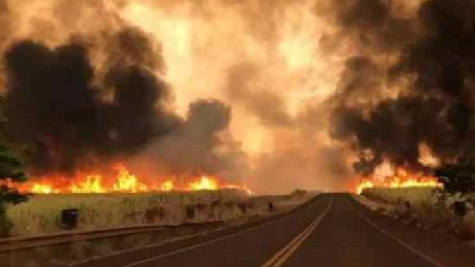 Copersucar e usinas associadas reforçam dicas de prevenção de incêndio