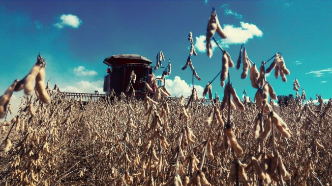 Soja: USDA surpreende, mas Chicago fecha estável nesta 5ª após já ter cenário precificado