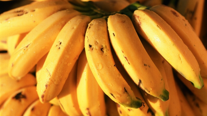 Mapa alerta para reforço no monitoramento da praga Foc R4T, que ataca produção de bananas