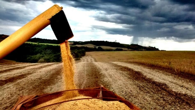 Alta de preços ao produtor acelera em junho no Brasil e tem recorde de 36,81% em 12 meses