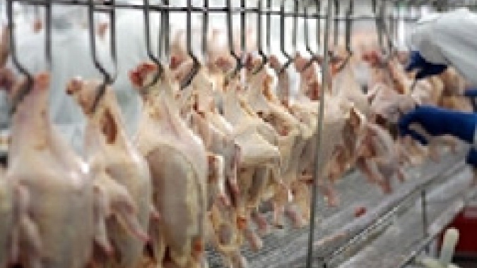 Exportações de carne de frango em maio/22 têm faturamento 40,9% maior que maio/21