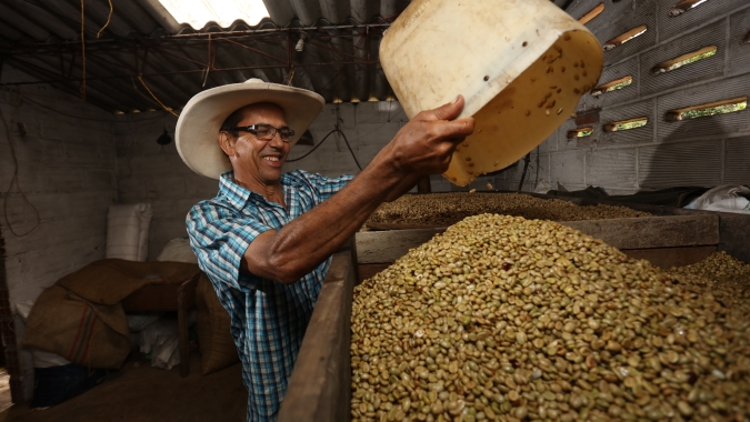 Colômbia continua sentindo os impactos do La Niña e produção de café tem queda de 13% em março