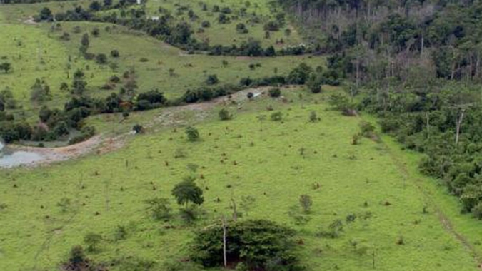Comissão aprova projeto que prevê porte de arma em imóvel rural