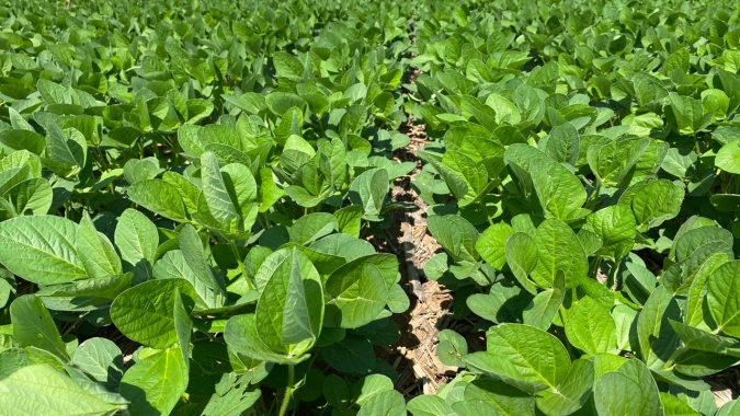 CNA levanta custos de produção agropecuária em seis estados