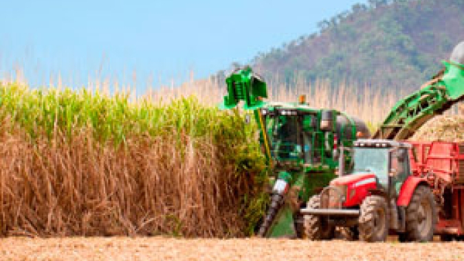 Produção de açúcar no Norte e Nordeste do país sobe para 2,16 mi t entre setembro e dezembro