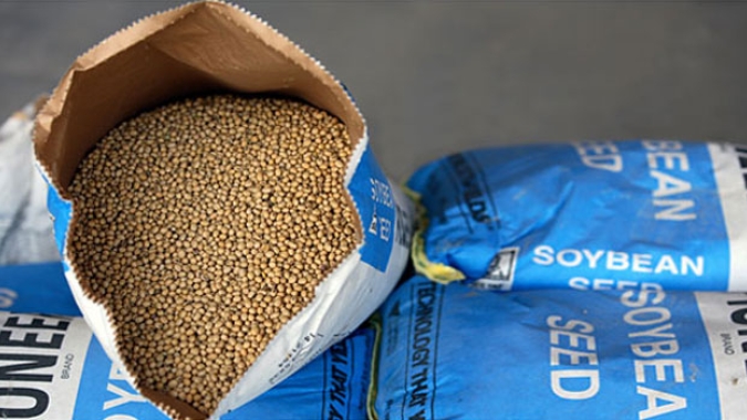 BrasilAgro vai produzir sementes de soja no interior da Bahia