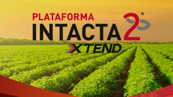 Soja Intacta2 XTend  já pode ser utilizada nesta safra,  com novo nível de produtividade e preço definido