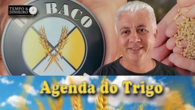 A seca reforça a aposta na safra de inverno. É importante fazer uso de sementes de qualidade